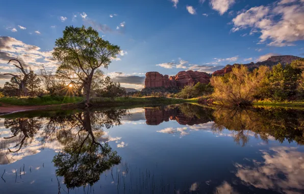 Облака, деревья, озеро, отражение, скалы, Аризона, США, Sedona