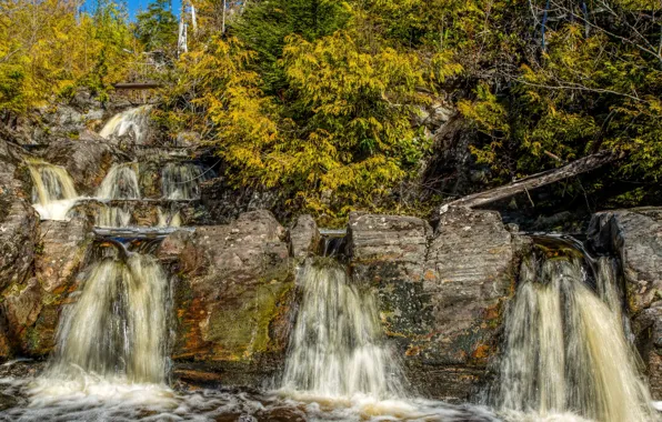 Картинка лес, деревья, камни, водопад, Калифорния, США, каскад, San Juan Ridge Creek