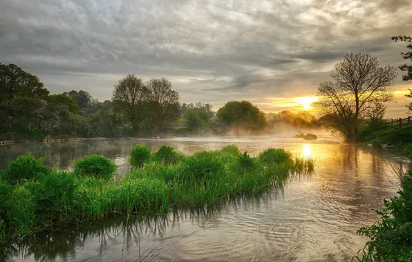 Трава, вода, пейзаж, закат, природа