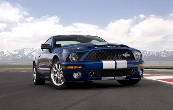 Mustang, Ford, Shelby, GT500, 2008, мустанг, форд, 40th Anniversary