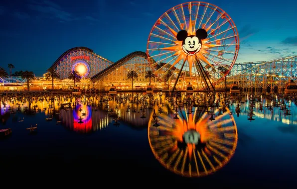 Картинка ночь, парк, колесо, аттракционы, горки, Disneyland