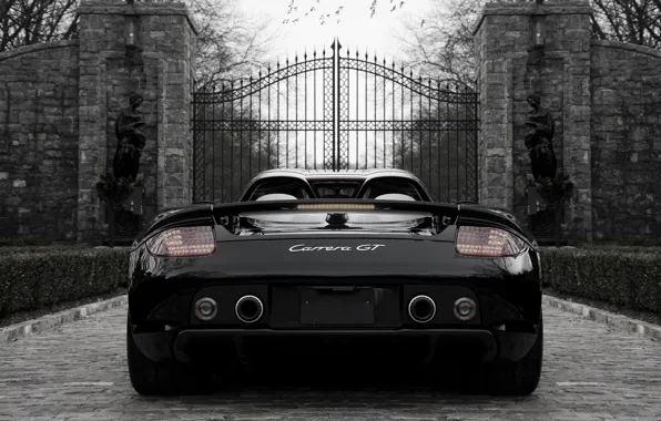 Картинка черный, Porsche, порше, black, врата, back, carrera, каррера