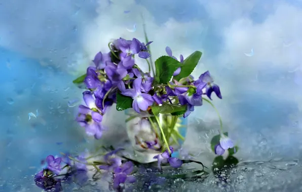 Картинка стекло, цветы, фон, дождь, капли на стекле, фиалки в вазе