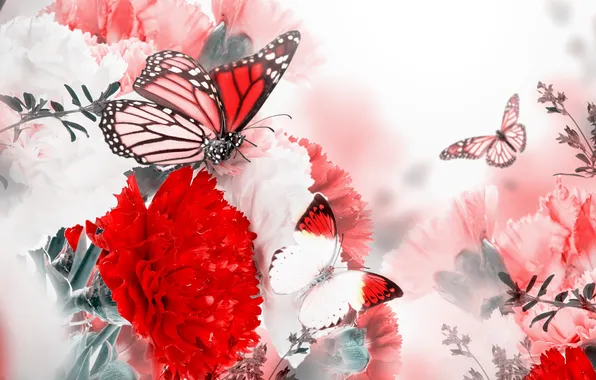 Бабочки, цветы, цветение, blossom, гвоздика, flowers, веточки, branches
