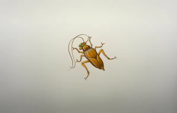 Картинка улыбка, жук, минимализм, таракан, cockroach, насекомое, усатый