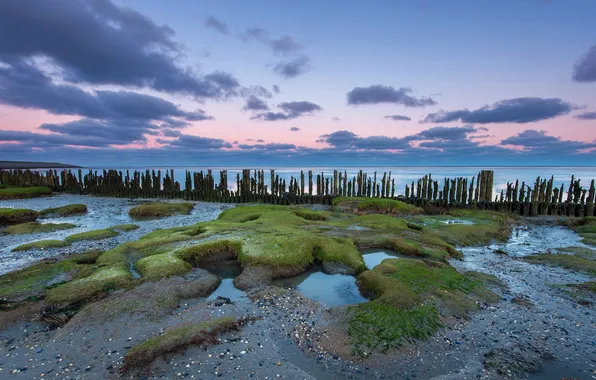 Sea, Nederland, Waddensea