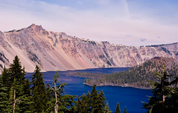 Картинка лес, небо, деревья, пейзаж, горы, озеро, сша, Oregon