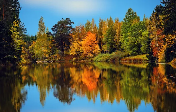 Картинка осень, лес, деревья, отражение, река, Финляндия, Finland, Река Мустийоки