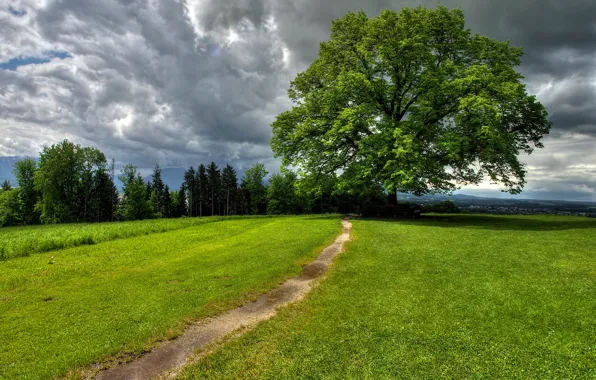 Картинка небо, трава, облака, деревья, природа, дорожка