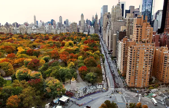 City, sport, USA, road, trees, New York, Manhattan, park