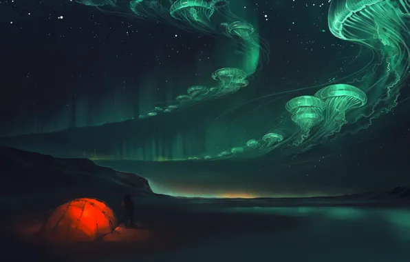 Картинка ночь, сияние, медузы, палатка, art