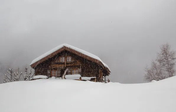 Картинка зима, гроза, снег, кабина, жилье, серое небо