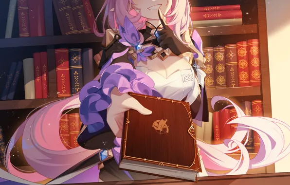 Девушка, книга, Honkai Impact 3rd, Elysia