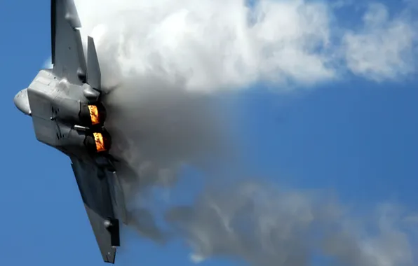 Картинка F-22 Raptor, Fighter Jet, War Plane