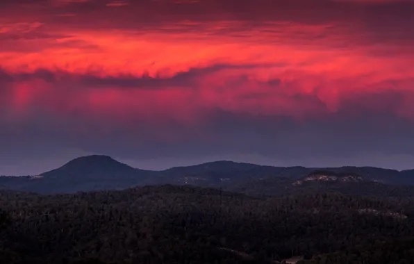 Forest, twilight, sunset, hills, dusk