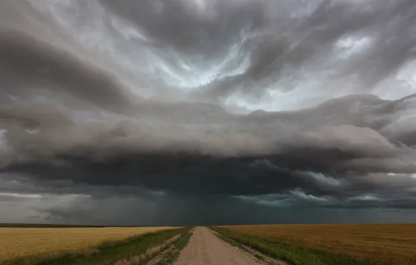 Дорога, поле, дождь, буря, горизонт, storm, road, rain