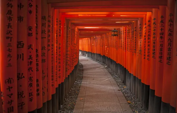Надпись, столбы, Япония, иероглифы, тунель, Тоннель из Красных ворот к святилищу Фушими Нари