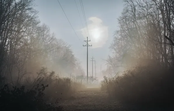 Картинка пейзаж, туман, утро, лэп