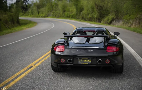 Porsche, суперкар, вид сзади, Carrera GT