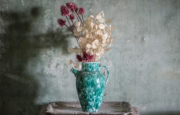 Цветы, стена, ваза