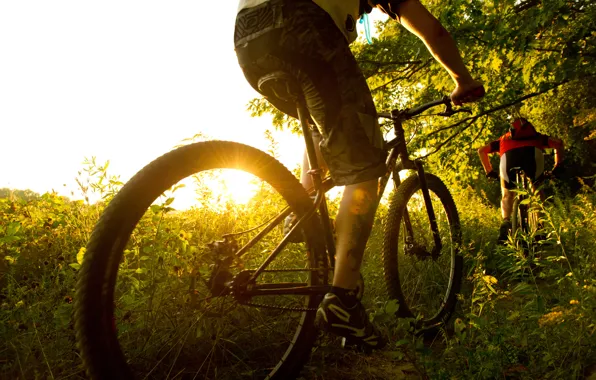 Картинка bike, sunrise, legs, cycling