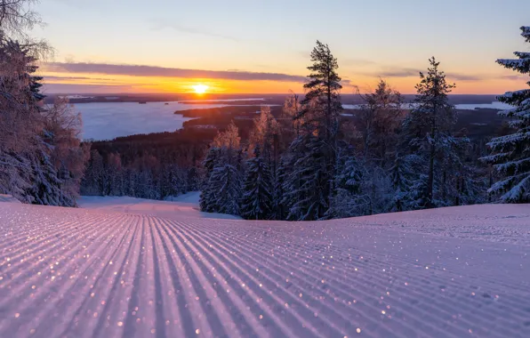 Солнце, Снег, Рассвет, Елки, Финляндия, Finland, Ski resort, Горнолыжный курорт