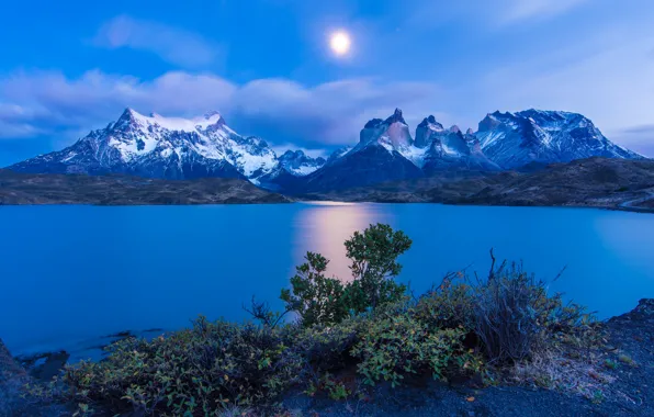 Озеро, рассвет, утро, Чили, Chile, Patagonia, Torres del Paine