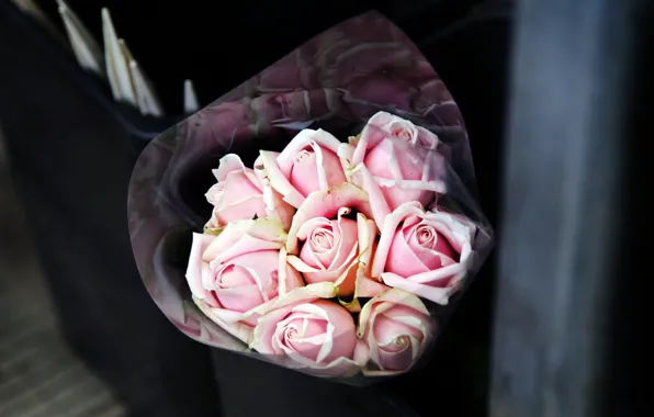 Цветы, розовый, розы, букет