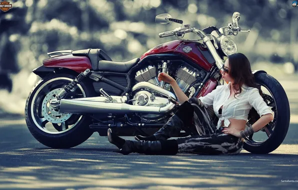 Girl, Harley, Motorcycles