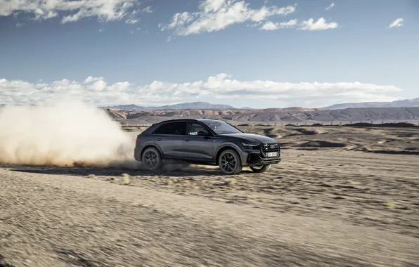 Бездорожье, Quattro, 2018, кроссовер, S-Line, 55 TFSI, Audi Q8
