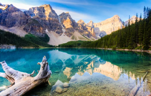 Картинка лес, горы, озеро, канада