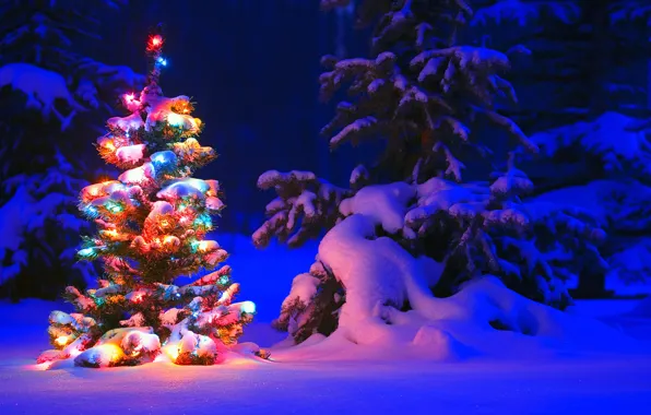 Картинка зима, свет, снег, деревья, ночь, lights, огни, дерево