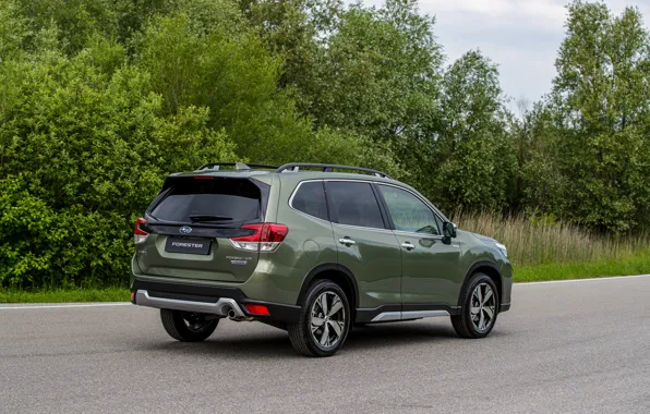 Картинка Subaru, боком, кроссовер, AWD, Forester, 2019