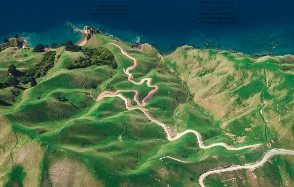 Картинка island, new zealand, d urville