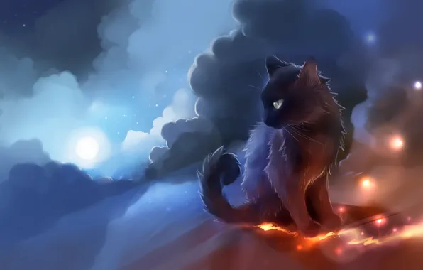 Картинка кошка, небо, облака, луна, огоньки, чёрная, apofiss
