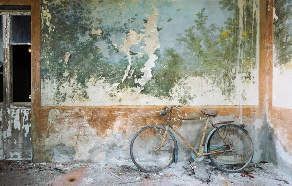Картинка велосипед, фон, стена
