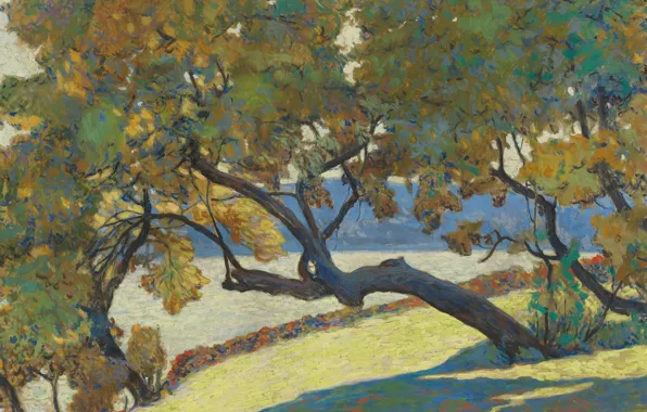 Пейзаж, природа, картина, Александр Альтман, Большое дерево на краю моря