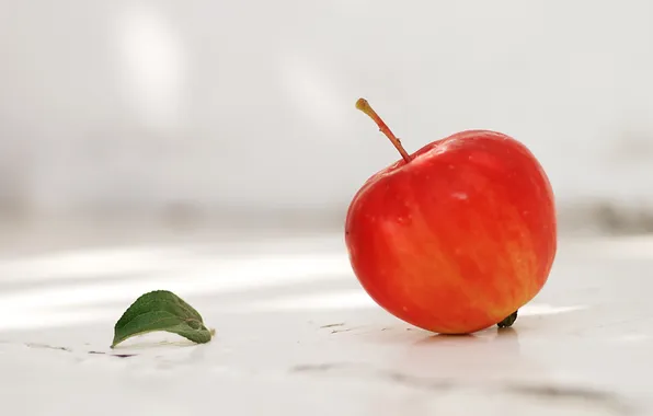 Картинка autumn, fruit, garden, Season of apples