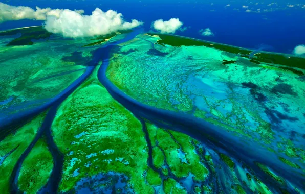 Картинка Индийский океан, приливные каналы, Сейшельскии острова, атолл Альдабра