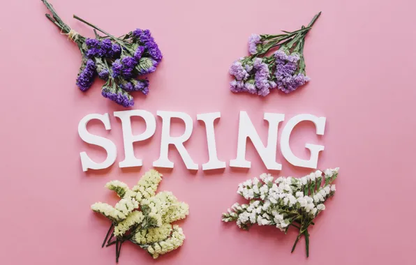 Цветы, фон, розовый, весна, pink, flowers, spring, purple