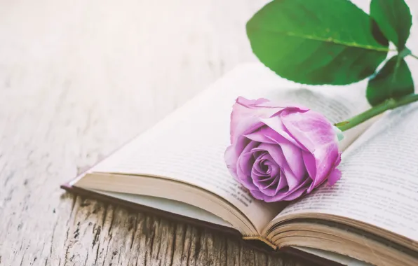 Картинка цветы, розы, книга, love, vintage, flowers, romantic, purple