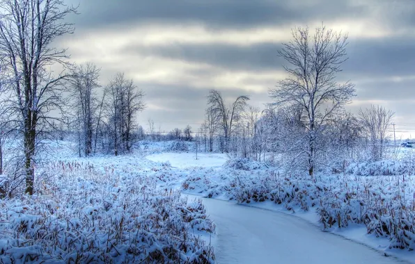 Картинка лед, зима, небо, облака, снег, деревья, тучи, природа
