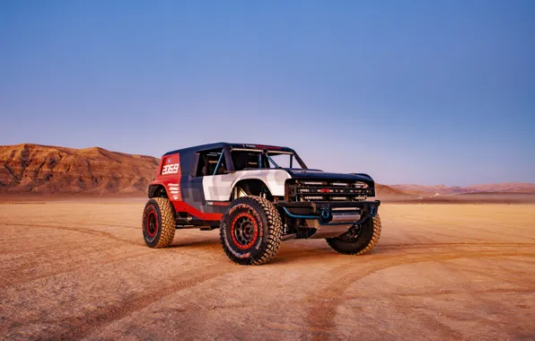 Ford, в пустыне, 2019, Bronco R Race Prototype