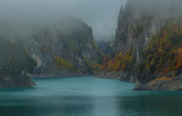 Картинка осень, деревья, горы, туман, озеро, скалы