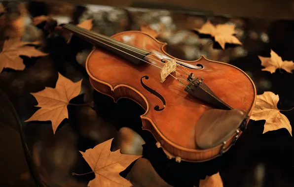 Картинка осень, листья, скрипка