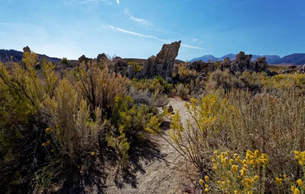 Горы, скалы, Калифорния, США, California