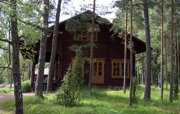 Лес, трава, деревья, дом, музей, усадьба, Финляндия, Langinkoski