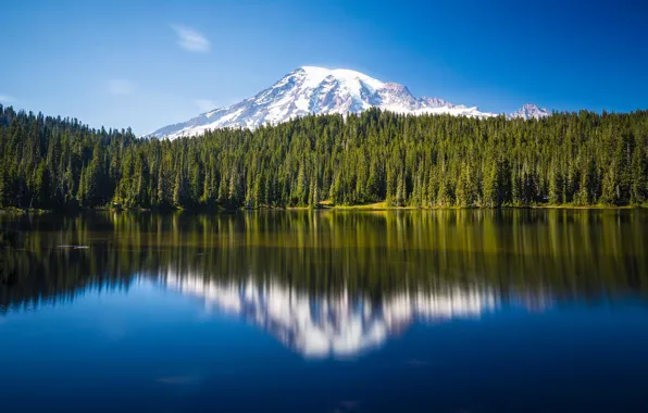 Лес, озеро, отражение, гора, Mount Rainier National Park, Национальный парк Маунт-Рейнир, Mount Rainier, Каскадные горы