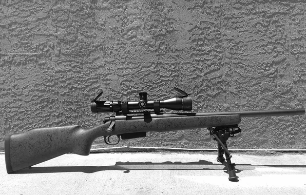 Фон, оптика, винтовка, снайперская, сошка, Remington 700