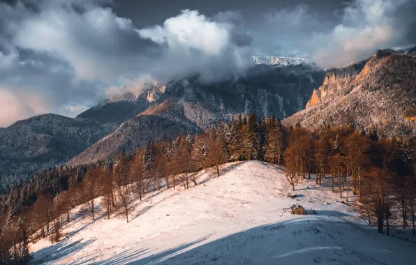 Картинка пейзаж, природа, гора